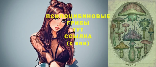 эйфоретик Баксан