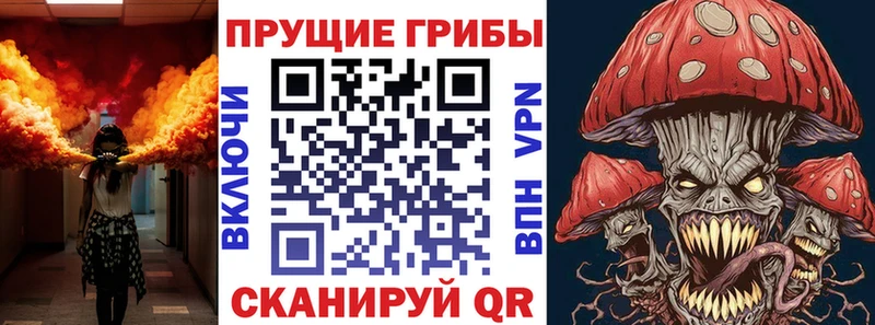 где продают   Великий Устюг  hydra ССЫЛКА  Псилоцибиновые грибы Magic Shrooms 